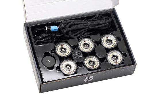 Morimoto Rock Light Kit: White LED / 6 Pack