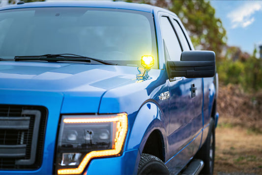 09-14 Ford F-150/Raptor Ditch Light Brackets