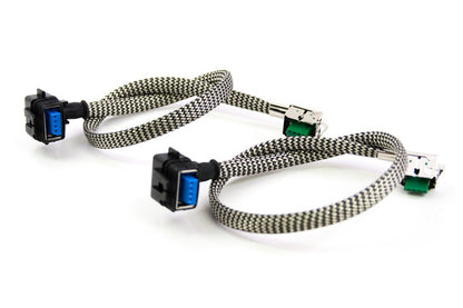 D1/D3: Ballast to Bulb Cables