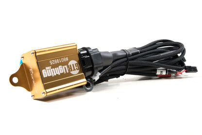 H4: GTR Bi-Xenon Harness