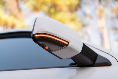 09-18 Dodge Ram XB LED Mirror Lights (Underside)