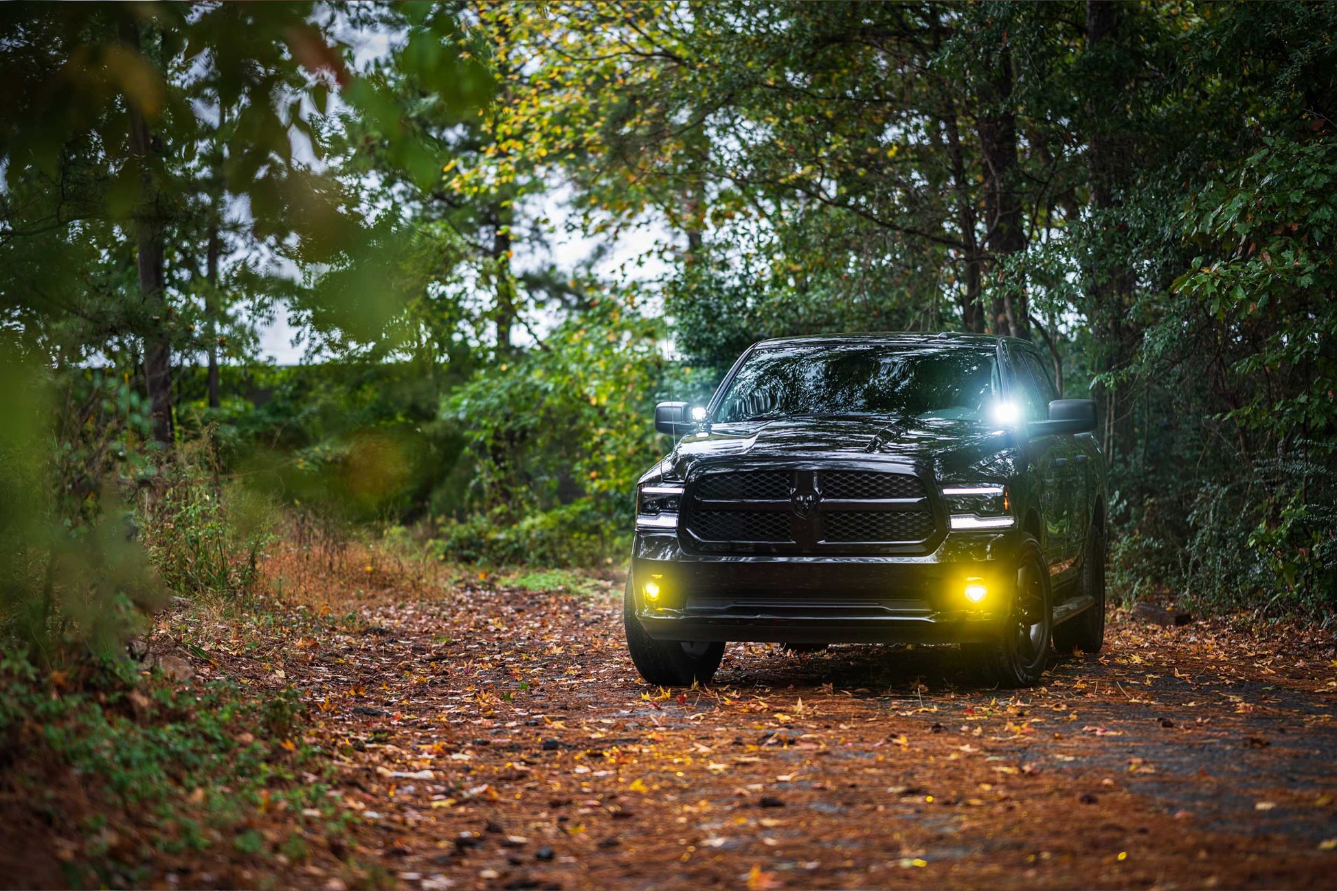 Morimoto 4Banger Ditch Light Kit: 09-18 Ram (HXB Yellow SAE Wide Beam)